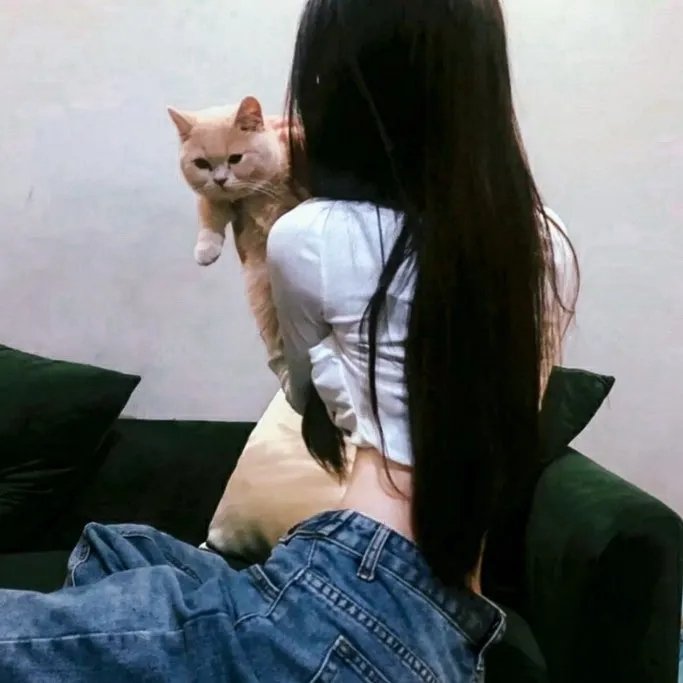 吉姆老爷