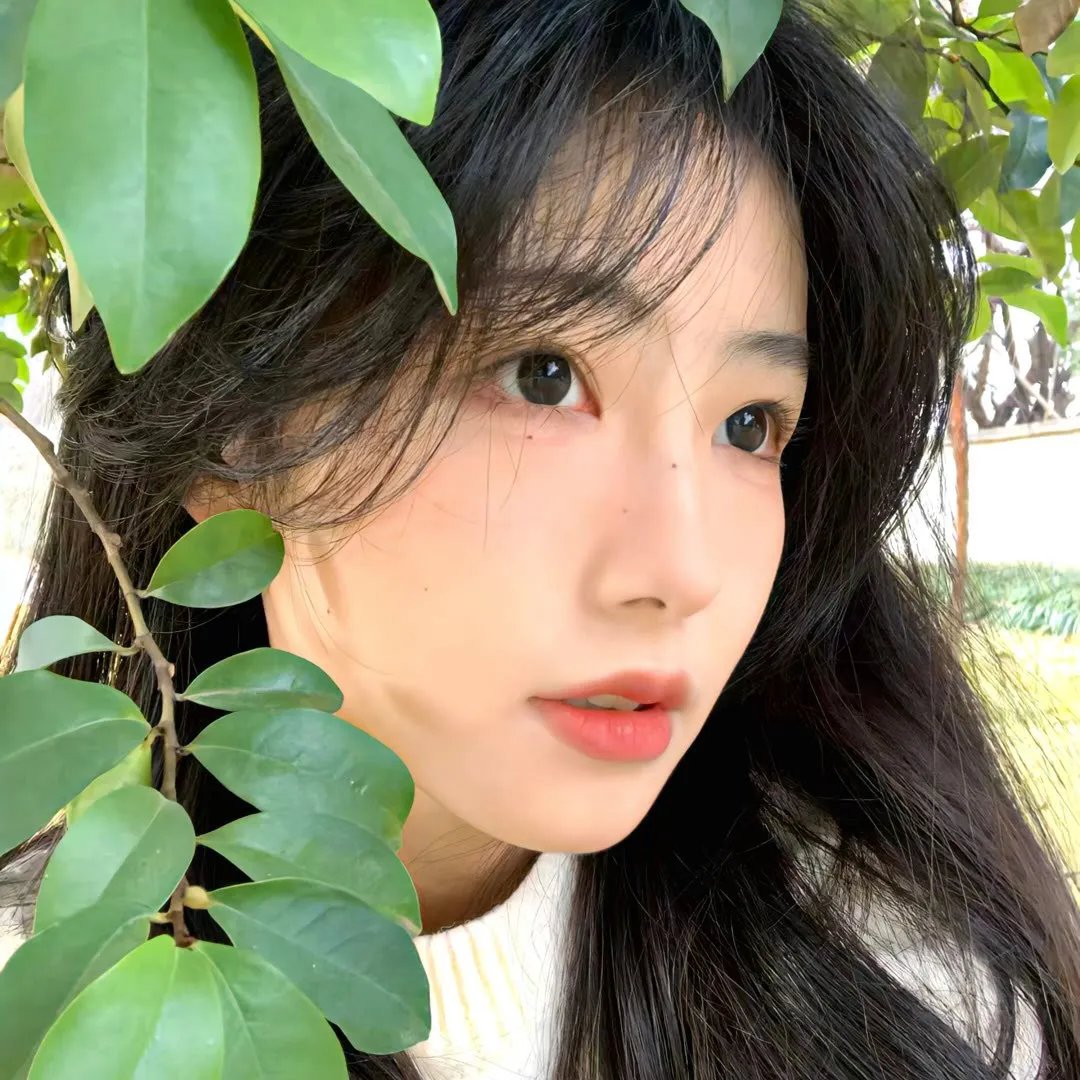 石纪元第三季